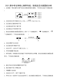 初中化学中考复习 2021届中考化学核心素养专练：微观反应示意图的分析