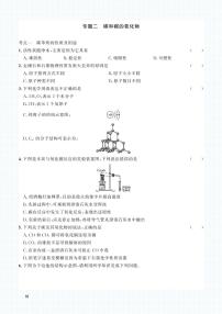 初中化学中考复习 2023化学中考集训：专题二 碳和碳的氧化物（PDF原卷版）