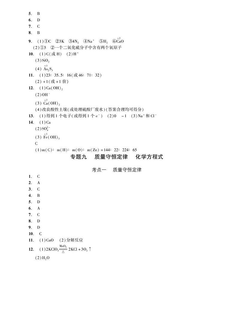 初中化学中考复习 2023化学中考集训：专题九 质量守恒定律 化学方程式（PDF答案版）第1页