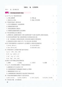 初中化学中考复习 2023化学中考集训：专题六 盐 化学肥料（PDF原卷版）