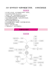 初中化学中考复习 2021届中考化学一轮微专题复习学案：　水和常见的溶液