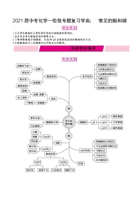 初中化学中考复习 2021届中考化学一轮微专题复习学案：　常见的酸和碱