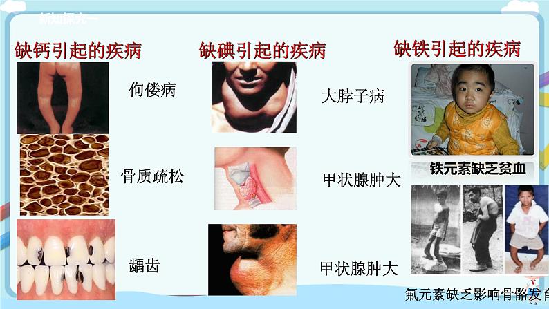 鲁教版化学九年级下册 10.2化学元素与人体健康（课件+教学设计+一课一练）07