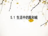沪教版（上海）初中化学九年级下册 5.1生活中的酸和碱 课件PPT