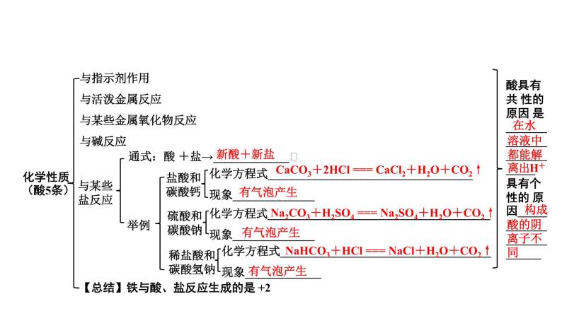 沪教版（上海）初中化学九年级下册 5.1生活中的酸和碱 课件PPT07