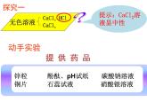 沪教版（上海）初中化学九年级下册 6.2 盐和肥料-- 探 究 废 液 成 分 课件PPT