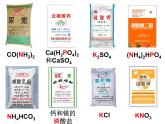 沪教版（上海）初中化学九年级下册 6.2 盐和肥料—化肥 课件PPT