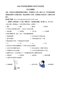 初中化学中考复习 精品解析：河南省2020年中考化学试题（原卷版）