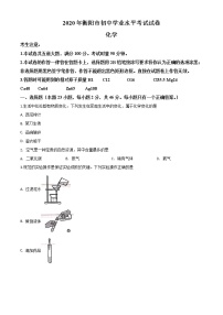 初中化学中考复习 精品解析：湖南省衡阳市2020年中考化学试题（原卷版）