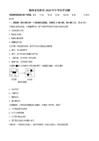 初中化学中考复习 精品解析：湖南省岳阳市2020年中考化学试题（原卷版）