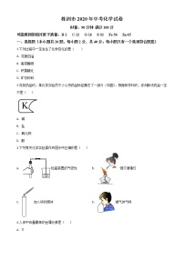 初中化学中考复习 精品解析：湖南省株洲市2020年中考化学试题（原卷版）