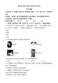 初中化学中考复习 精品解析：山东省泰安市2020年中考化学试题（原卷版）