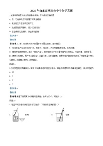 初中化学中考复习 精品解析：山东省枣庄市2020年中考化学试题（解析版）