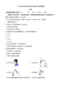初中化学中考复习 精品解析：四川省广安市2020年中考化学试题（原卷版）