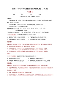 初中化学中考复习 精选卷06-2021年中考化学大数据精选全真模拟卷（广东专用）（解析版）