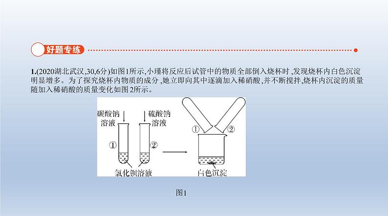 初中化学中考复习 19专题十九　科学探究题 课件 2021年中考化学（全国）一轮复习02