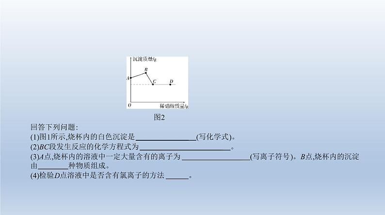 初中化学中考复习 19专题十九　科学探究题 课件 2021年中考化学（全国）一轮复习03