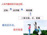 沪教版（上海）初中化学九年级下册 7.2 食品中的营养素 课件PPT