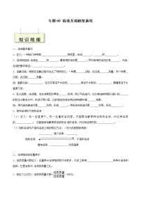 专题09 溶液及溶解度曲线- 决胜2023年中考化学一轮地毯式复习（全国通用）（无答案）
