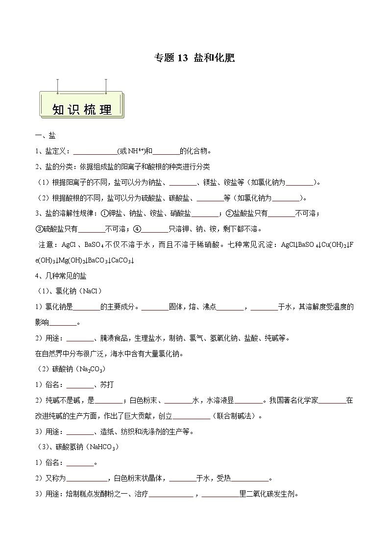 专题13 盐和化肥- 决胜2023年中考化学一轮地毯式复习（全国通用）（无答案）第1页