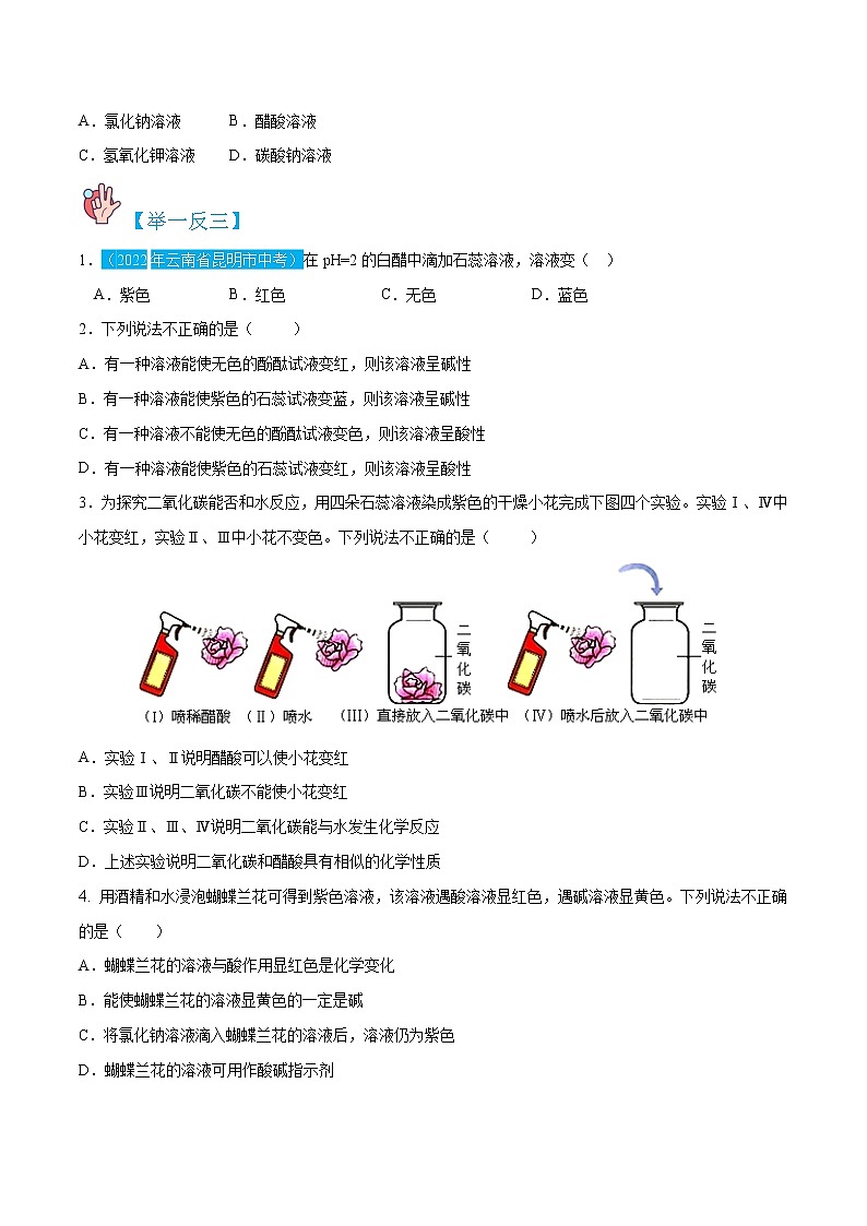 10.1.1 常见的酸及性质 -九年级化学下册精讲精练（人教版）（原卷版）第2页