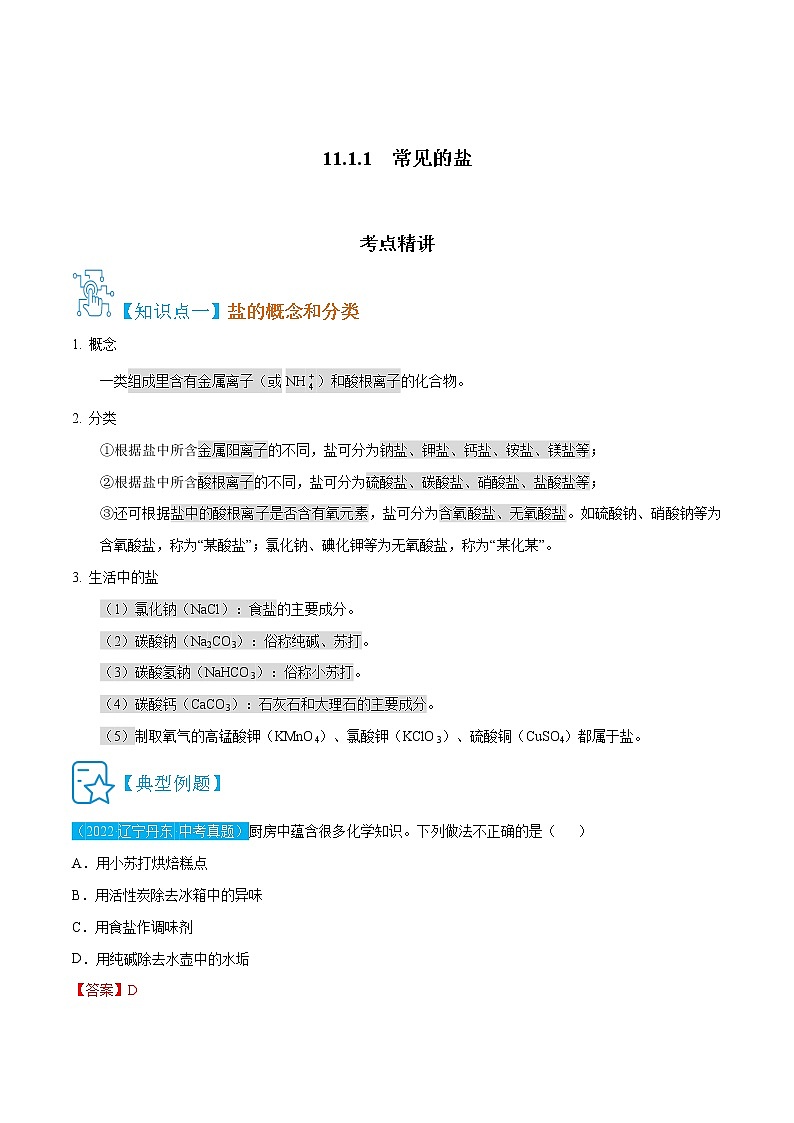 11.1.1  常见的盐-九年级化学下册精讲精练（人教版）01