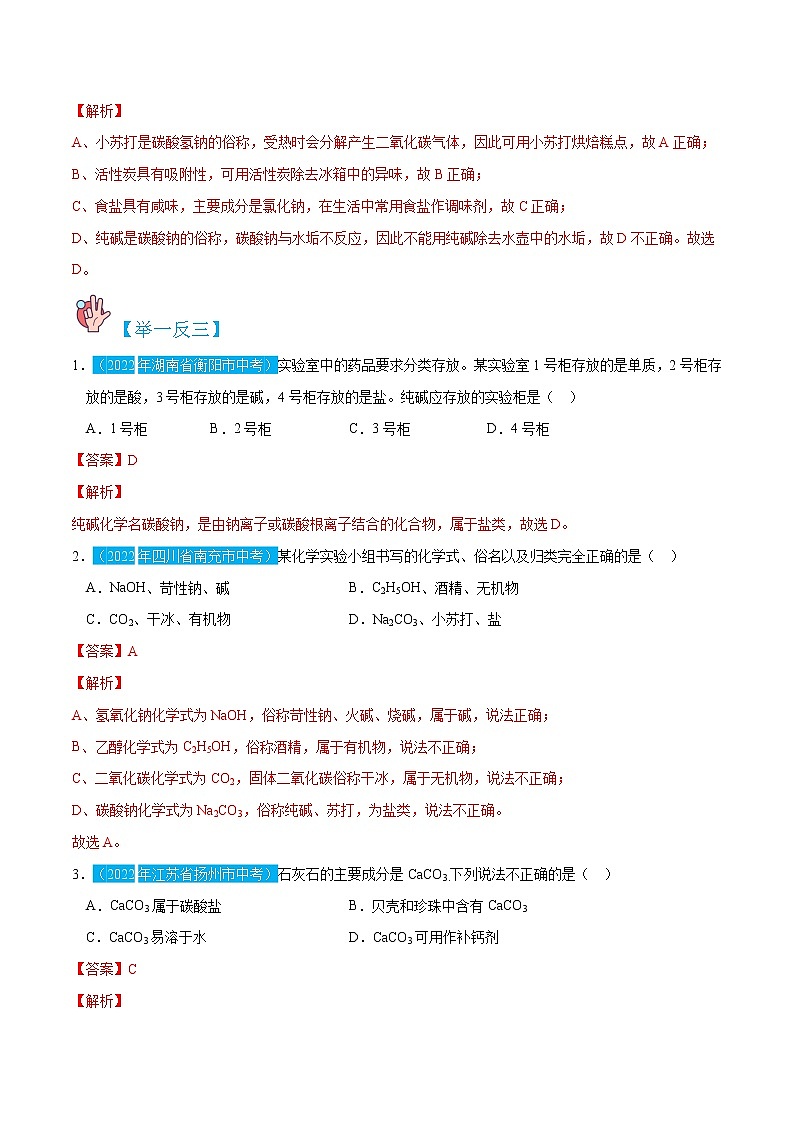 11.1.1  常见的盐-九年级化学下册精讲精练（人教版）02