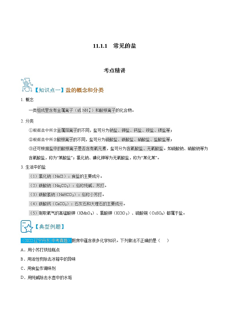 11.1.1  常见的盐-九年级化学下册精讲精练（人教版）01