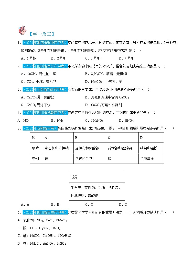 11.1.1  常见的盐-九年级化学下册精讲精练（人教版）02