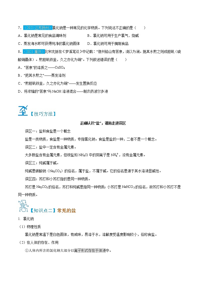 11.1.1  常见的盐-九年级化学下册精讲精练（人教版）03