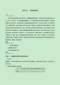 初中化学中考复习 考点28  生铁的冶炼-备战2022年中考化学一轮复习考点帮（解析版）