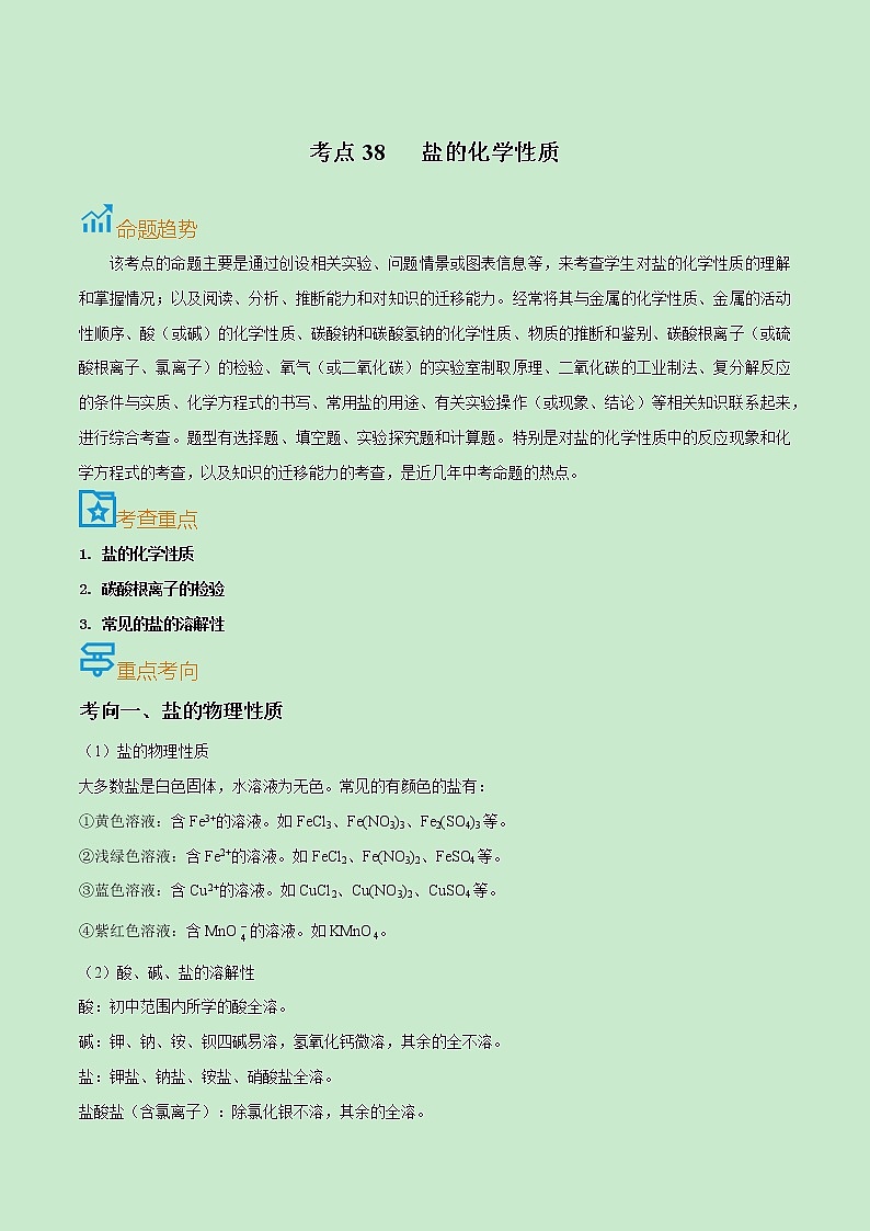 初中化学中考复习 考点38  盐的化学性质-备战2022年中考化学一轮复习考点帮（解析版）第1页