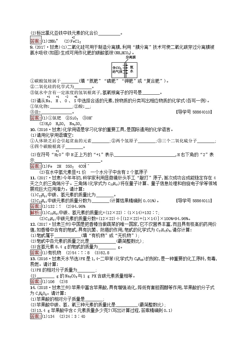 初中化学中考复习 课标通用中考化学总复习素养全练5化学式与化合价试题第2页