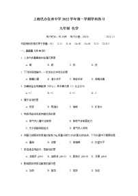 2022-2023学年上海市民办位育中学九年级期末考试练习化学试卷 含答案