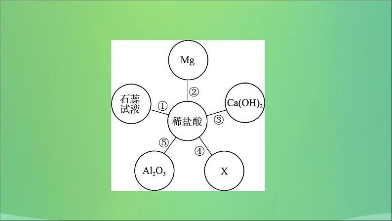 初中化学中考复习 中考化学总复习第九讲酸和碱课件06