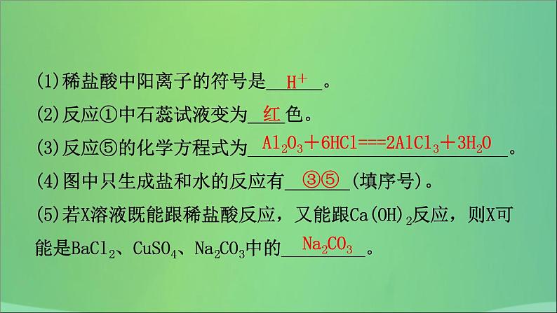 初中化学中考复习 中考化学总复习第九讲酸和碱课件07