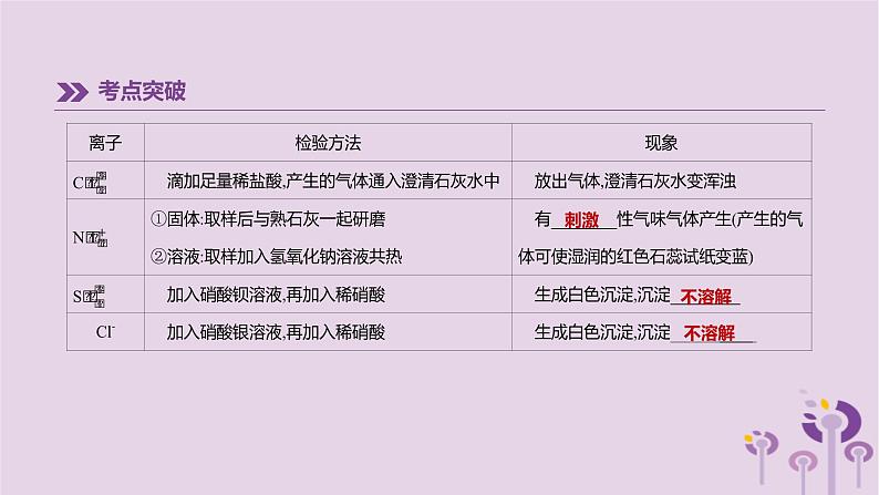 初中化学中考复习 中考化学总复习第一篇基础过关篇专项12物质的检验与鉴别分离与提纯课件第6页