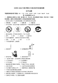 广西玉林市2022-2023学年九年级上学期期末化学试题(含答案)