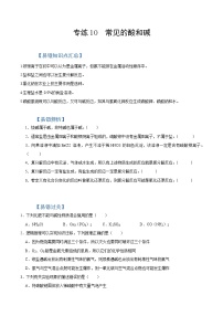 初中化学中考复习 专练11  盐 化肥 -2020年中考化学总复习易错必杀题（学生版）