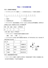 初中化学中考复习 专题13 常见的酸和碱-2020年中考真题化学分项汇编（原卷版）