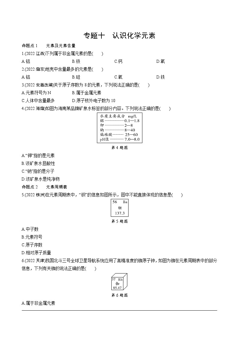 2023年中考化学一轮基础知识专题练习 专题十  认识化学元素（无答案）第1页