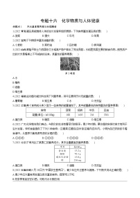 2023年中考化学一轮基础知识专题练习 专题十六  化学物质与人体健康（无答案）