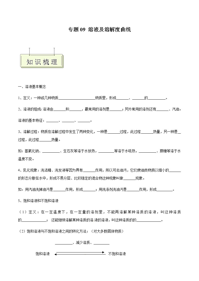 专题09 溶液及溶解度曲线- 决胜2023年中考化学一轮地毯式复习（全国通用）（原卷版）第1页