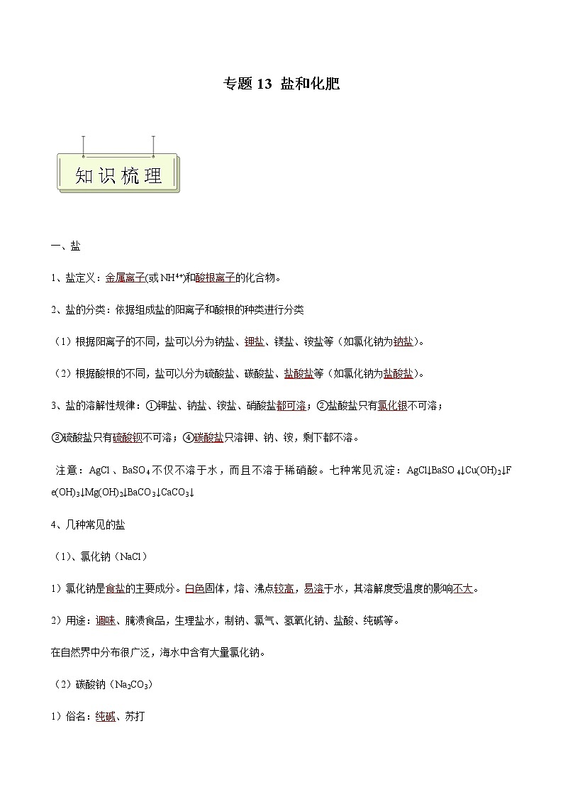 专题13 盐和化肥- 决胜2023年中考化学一轮地毯式复习（全国通用）（解析版）第1页