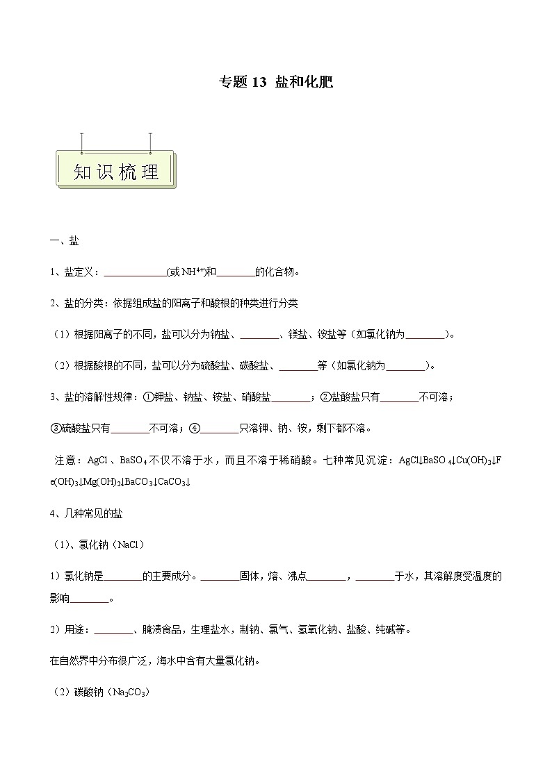 专题13 盐和化肥- 决胜2023年中考化学一轮地毯式复习（全国通用）（原卷版）第1页
