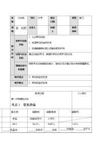 初中化学中考复习 人教版化学九年级一轮复习盐、化肥复习