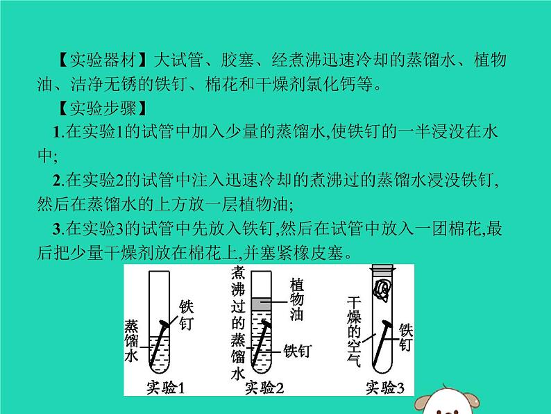 初中化学中考复习 课标通用中考化学总复习实验1铁钉锈蚀条件的探究课件第2页