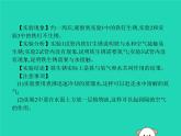 初中化学中考复习 课标通用中考化学总复习实验1铁钉锈蚀条件的探究课件