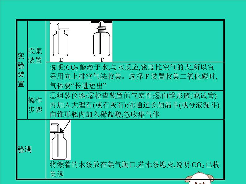 初中化学中考复习 课标通用中考化学总复习实验二氧化碳的实验室制任件课件PPT第3页