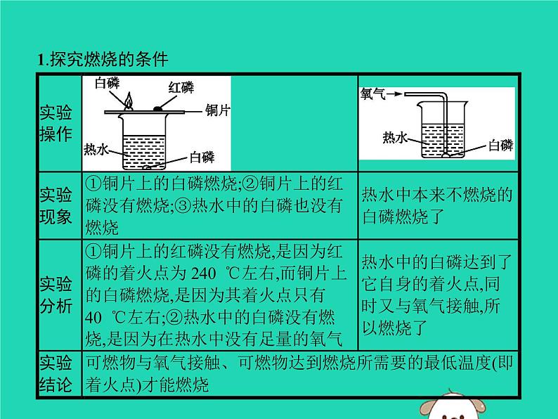 初中化学中考复习 课标通用中考化学总复习实验探究燃烧的条件课件02